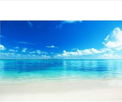 Amazon 海のビーチの写真の壁紙青い空白い雲の壁の壁画ステッカーリビングルームの壁紙3d壁紙 150x1cm 壁紙 Amazon 海のビーチの写真の壁紙青い空白い雲の壁の壁画ステッカーリビングルームの壁紙3d壁紙 150x1cm 壁紙
