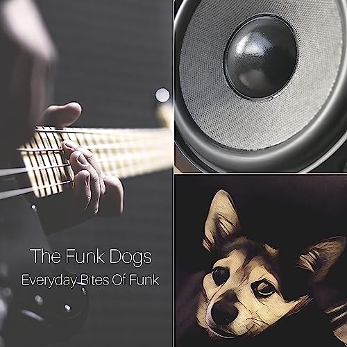 Everyday Bites of Funk by The Funk Dogs on Amazon Music