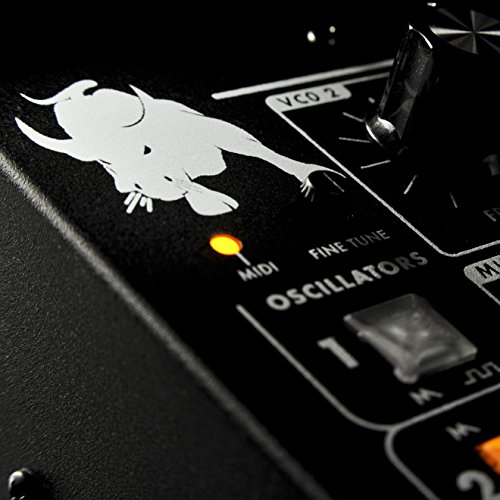 Moog Minitaur Bass Synthesizer #TOP6