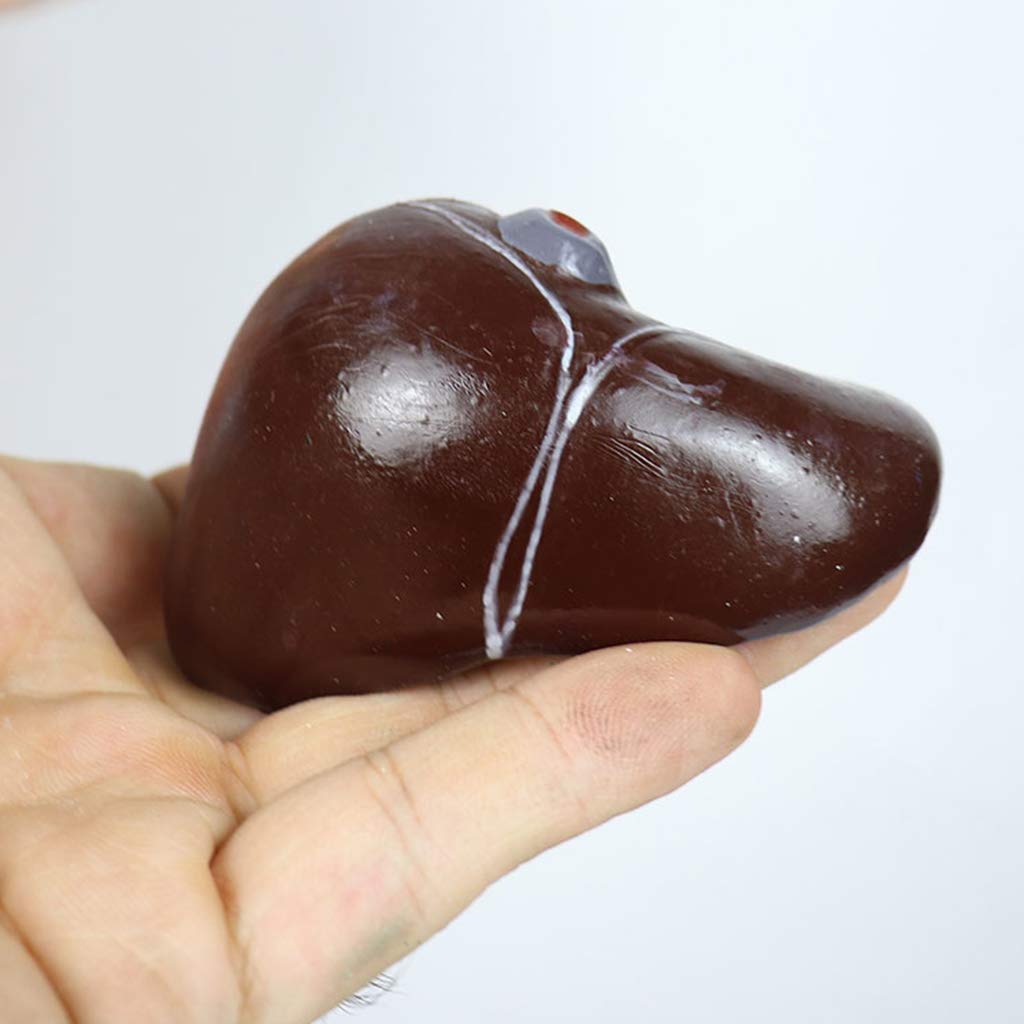 Modelo De Torso De 45 Cm - Modelo Anatómico del Torso Humano - Modelo De Ciencia De Órganos Internos Humanos Descomponibles - para Ayuda De Formación Educativa Médica, Equipo De Laboratorio
