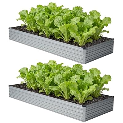 zunatu 12x4x1 ft(2 Pack) Galvanized Raised Garden Bed,Outdoor Planter Box Metal Patio Kit Planting Bed for Vegetables Flowers and Succulents,Silver
