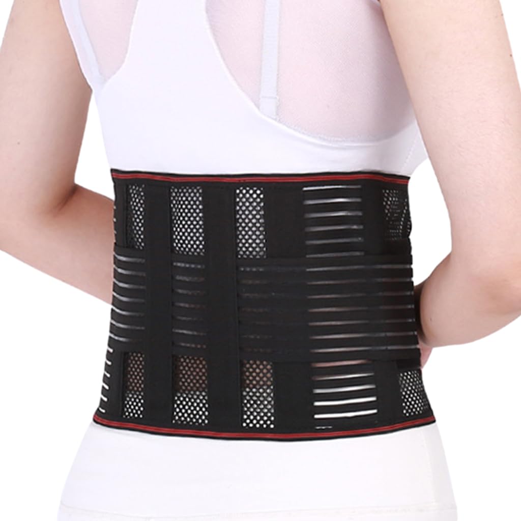 HANNEA® Lumbar Support Belt Breathable Mesh Lumbar Support Belt Built in 5 Stainless Steel Bar Lower Back Brace for Pain Relief, Prevent Strains Adjustable Lumbar Support Belt, Size L, 33-39 (B0CFQGSJH3) Amazon Price History, Amazon Price Tracker