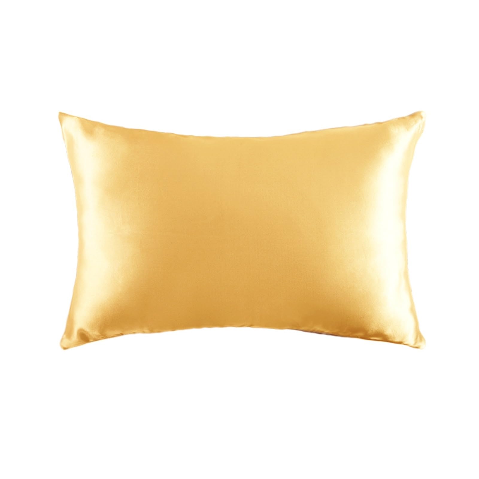 Silk pillowcase Silk Pillow Cover Double Pillowcase Pure With Hidden Zipper(Champagne,51x76cm)