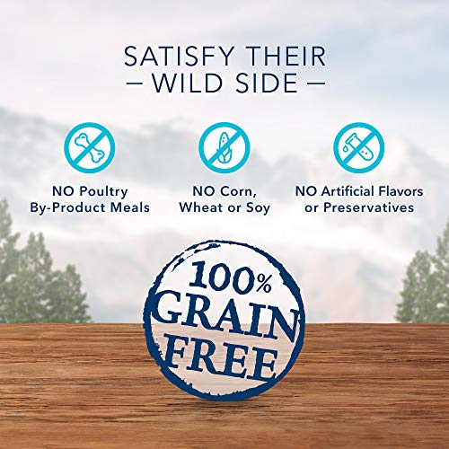 Blue Buffalo Wilderness Trail Treats High Protein Grain Free Crunchy Dog Biscuits Duck, Turkey, and Salmon 10-oz Variety… - Image 2
