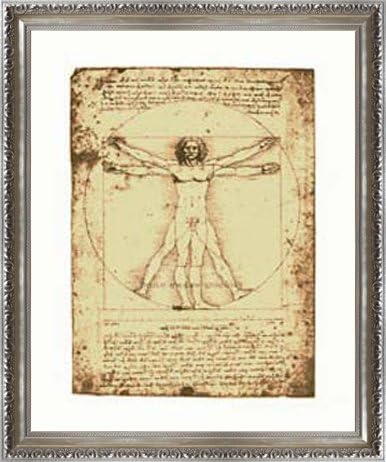 Amazon ポスター レオナルド ダ ヴィンチ ウィトルウィウス的人体図 額装品 ヴィドフレーム シルバー アートフレーム ポスター オンライン通販