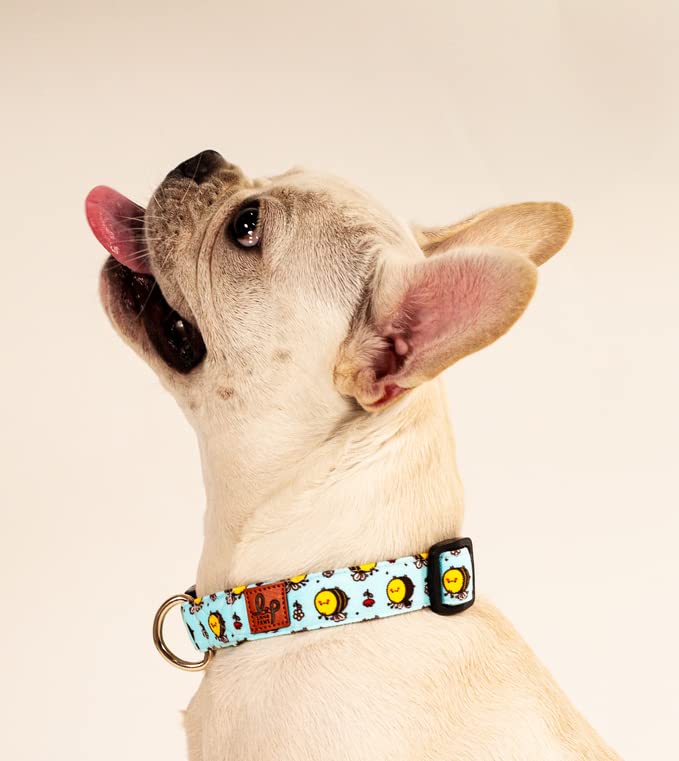 Lana Paws Polka Dots Red Adjustable Dog Collar Belt (Small) (B09K84KJYR) Amazon Price History, Amazon Price Tracker