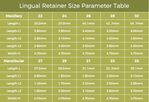 Miniatura 4 de Sdent 2 paquetes dentales de ortodoncia lingual retenedor 2 unidspaquete superior* 30