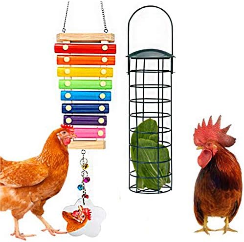 NewMoo Chicken Mirror Toys with One Side Mirror Toy for Chicks Hens Parrot Bird Roosters Upgraded Large Mirror with Rings