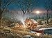 Buffalo Games - Terry Redlin - Campfire Tales - 1000 Piece Jigsaw Puzzle for Adults Challenging Puzzle Perfect for Game Night - Finished Size is 26.75 x 19.75