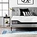 Lucid 12 Inch Hybrid Memory Foam Infused with Bamboo Charcoal and Aloe Vera-Encased Spring Support-Medium Plush Feel-Motion Isolation Mattress, Twin XL, White