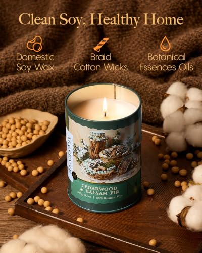 Image of M&SENSE Cedarwood Balsam Fir Scented Soy Candles, 11.3 oz