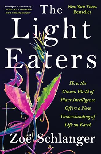 Light Eaters view 2