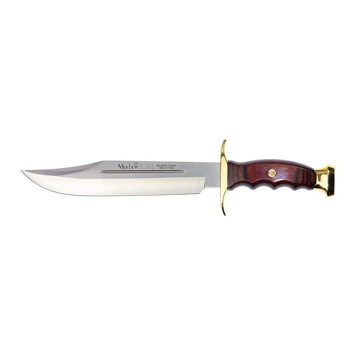 Muela Cuchillo de caza BW-22 con hoja de acero inoxidable MoVa de 22 cm y empuñadura de madera de coral para Caza, Pesca, Supervivencia y Bushcraft + Portabotellas de regalo