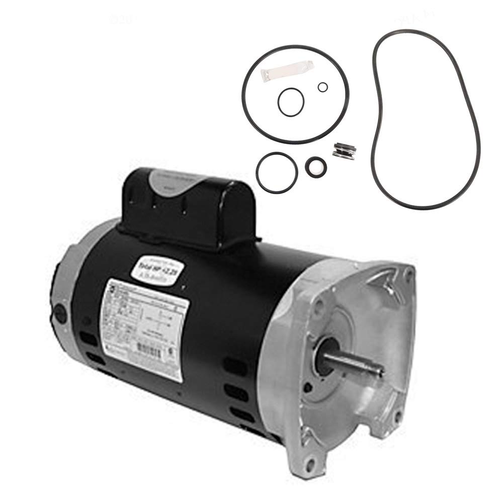 Puri TechReplacement Motor Kit for Sta-Rite Max-E-Pro 1.5HP P6R6F-207L AO Smith SQ1152 with GO-KIT-79