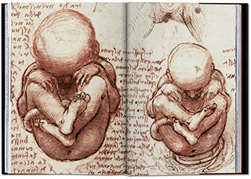 Leonardo. Obra Completa de Pintura e Desenho