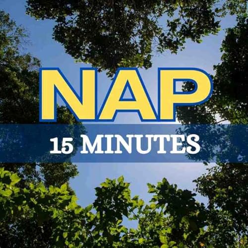 Power Nap Guided Meditation _ Nap in the Woods for 15 Minutes(MP3_160K)