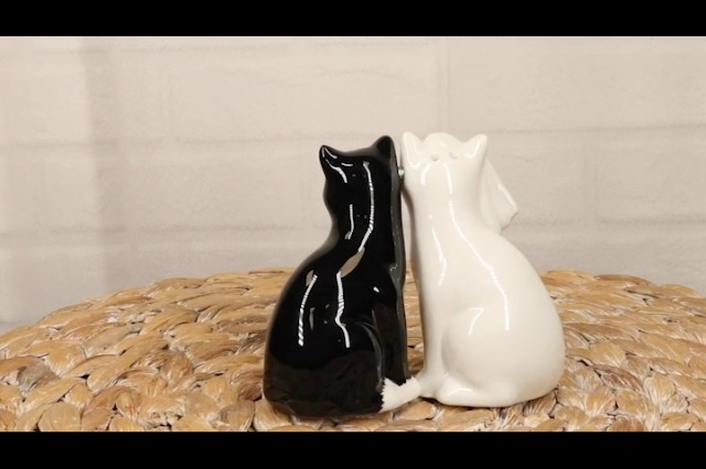 Amazon.com: Ebros Wedding Cats Feline Black And White Cats In