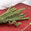 Factory Direct Craft Holiday Canadian Pine Wired Stems - Pack of 72 Green PVC Pine Wire Twist Ties for Christmas Decorations and Holiday Crafts (12" L x 20mm Dia.) #2