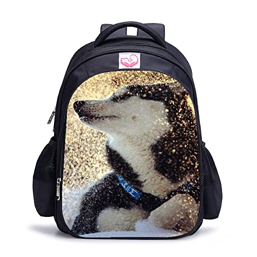 Sac à dos de loisirs Husky pour les sorties scolaires et le sport