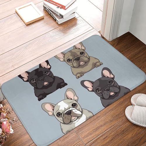 YNCATXZ Zerbino con bulldog francese, 40 x 60 cm, antiscivolo, per interni ed esterni, lavabile, zerbino per ingresso, tappetino assorbente in flanella