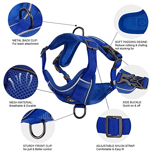 Amogato Cat Harness and Leash Set-Outdoor Walking Escape Safety Cat Vest, Adjustable Soft Kitty Vest, with Cat… - Image 3