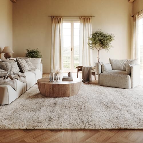 nuLOOM Brooke Shag Tasseled Area Rug - 10x14 Shag Area