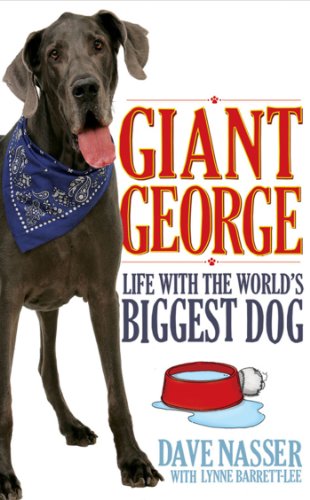 george dog store