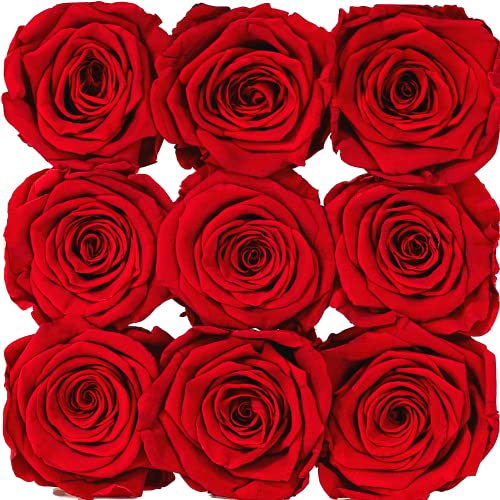 Luxury Preserved Roses In A Box | Handmade Rose Gift Box | Real Roses That Last For Years | Forever Roses In An Acrylic Jewelry Box | Real Flowers For Delivery Prime | Gifts For Her (9 Red Roses) #TOP2