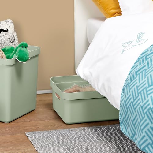 Panier rangement vert 24L Sunware compact et empilable pour placards (Lot de 2)