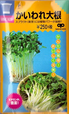 Amazon | かいわれ大根 中原採種場のスプラウト用種です | 野菜