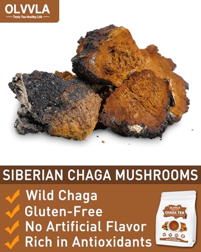 Image of Olvvla - Chaga Tea Bags - 2.5g X 50 Count - Wild Chaga Mushroom Herbal Tea - Sourced from Siberia - Caffeine Free - Gluten-Free