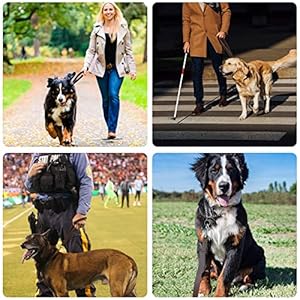   Leather-Short-Dog-Lead-Strong-Traffic-Pet-Lead-with-360o-Heavy-Duty-Metal-Hook-Short-Dog-Leash-for-Big-Large-Medium-Dogs-Training-and-Walking