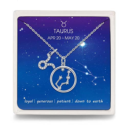 Presentski Zodiac Necklace Sterling Silver 12 Constellation Horoscope Pendant Astrology Star CZ Dainty Necklaces Birthday Jewelry for Women Daughter