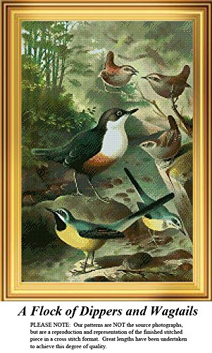 A Flock of Dippers and Wagtails, Vintage Counted Cross Stitch Pattern (Pattern Only, You Provide The Floss and Fabric)