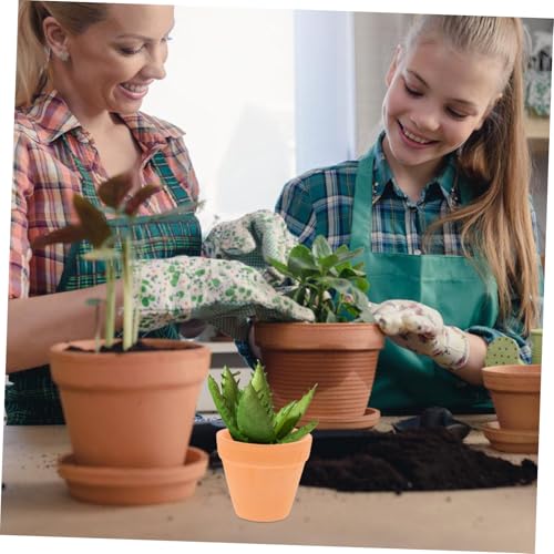 Pot terre cuite pour plantes grasses et compositions raffinées de table - 7