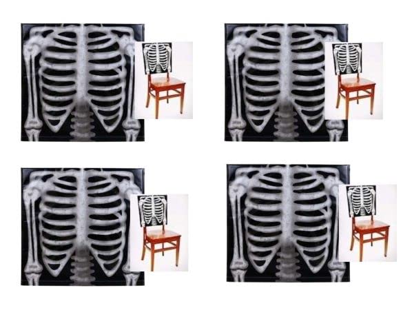CGT Halloween Skeleton Chair Back Covers Ornaments Decorations Home Dining Room Kitchen Party Classrooms Office Reusable Plastic Slipcovers Removable Protectors 21 x 20 in. (Set of 4), Black, White
