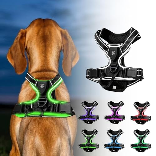 Pettorina per cani luminosa ricaricabile, riflettente a LED, regolabile, per cani, luci colorate, riflettente, per passeggiate notturne e tutti i giorni, M