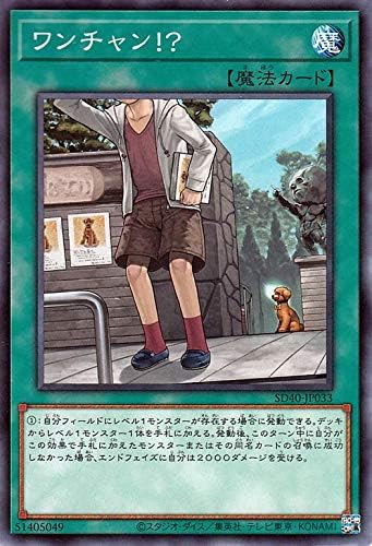 Amazon Co Jp 遊戯王カード ワンチャン ストラクチャーデッキ 凍獄の氷結界 Sd40 通常魔法 ノーマル ホビー 通販