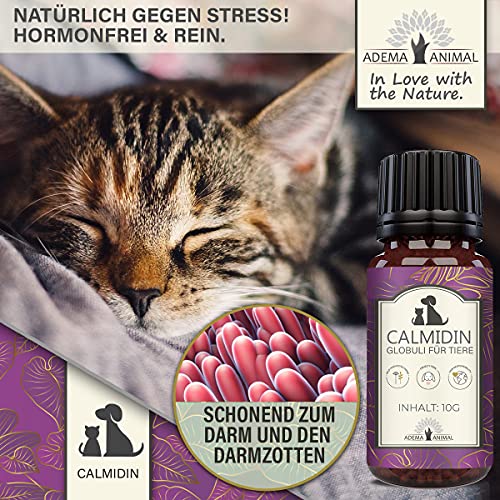 Adema Animal® - Calmidin Globuli zur Beruhigung für Tiere - Relax Globuli mit Baldrian gegen Stress und Angst/innere Unruhe - natürlich sanftes Beruhigungsmittel für Hund und Katze - 10g Inhalt