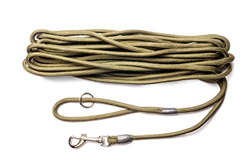 Dog & Field Laisse pour Chien 2 en 1 10 m en Nylon tressé Ultra Doux Cover