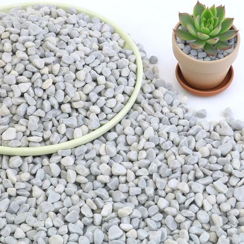 Quibbay 5|h AƃT{e 1/4C` ApVR ԕrAفAeEAOK[fjOp̐̊ArAO[