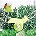 BingegePet Plastic Frog Hammock with Suction Cup, Frog Habitat Platform, Reptile Decorations for Terrarium, Frog Tank Accessories, Terrarium Decor for Tree Frog, African Dwarf Frog, Frog and Toad
