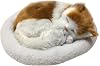 Realistic Sleeping Cat Toy, Breathing Cat Stuffed Animal Doll with Mat, Lifelike Stuffed Interactive Pet Toy Plush Toys for Children Home Ornament (1)