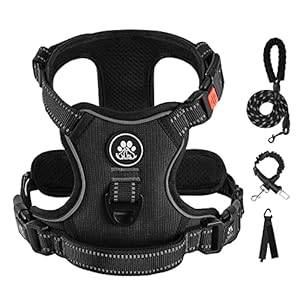 IVY&LANE No Pull Dog Harness for Large Dogs, Dog Vest Harness with Leash, Safety Belt and Storage Strap, Fully Adjustable Harness, 360° Reflective Strip, Soft Handle (Black, L)