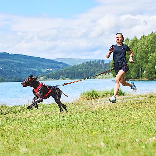 Non-stop dogwear FREEMOTION Harness 5.0 |111| Hundegeschirr für alle Sportarten, Größe:4