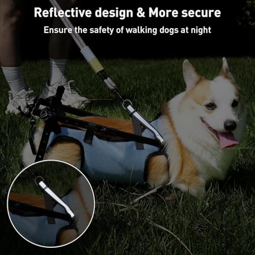Silla de ruedas para perros pequeños con soporte para extremidades traseras 3