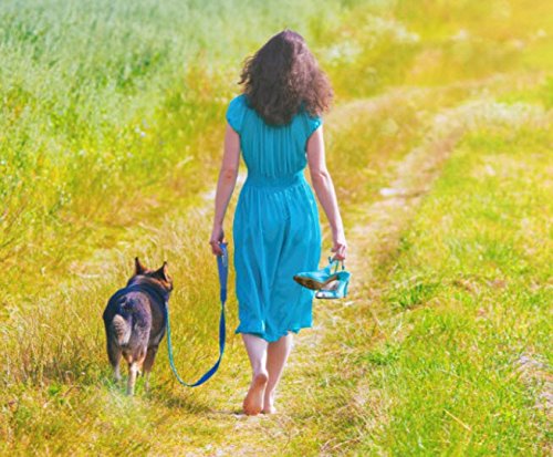 dog leash with gel handle