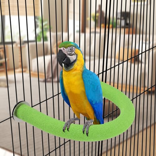 Image of Rypet U Shape Parrot Perch Stand Toy for Paw Grinding Clean Stick Exercise, Rough-Surfaced Quartz Bird Perch Standing Cage Accessories for for Small Parakeets Cockatiels Conures Macaws Finches(Green)