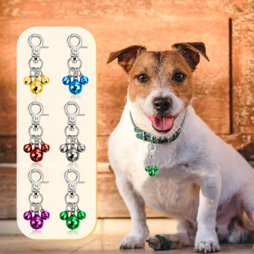 Haustierglocken Set für Halsbänder/Schlüsselanhänger - Laut, bunt & stilvoll! Verdreifachen Sie den Charme Ihres Hundes mit diesen 6 Glocken in grün, rot, blau, lila, silber & gold.