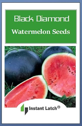 Miniatura 2 de 25 semillas de sandía de diamante negro  Sin OMG  Heirloom  Semillas de jardín con cierre instantáneo